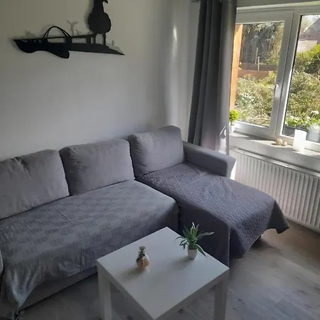 Freitag Daire Gammendorf